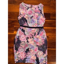Adrianna Papell Floral Mesh Sheath Dress Pink Purple Sleeveless Size 14 Womens