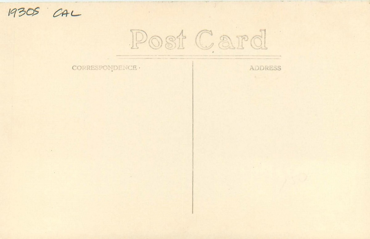 Postcard RPPC Photo 1930s California Redwood Sunset Pacific Zan 22