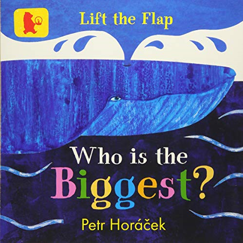 Who Is the Biggest?