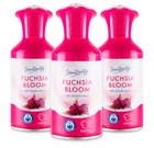 Scentcerity Fuchsia Bloom Dry Room Spray 3 Pack | 250ml Each Fresh Floral