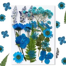 Flowers for Resin Model, Real Pressed Flowers Dry Leaves Bulk Natural Herbs K...
