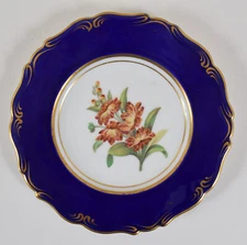 Antique English Porcelain Carnation Botanical Plate Cobalt Rim Circa 1820