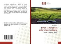 Small And Medium Enterprises In Algeria Nassima Bouri