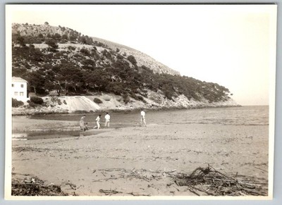 Vtg B&W Snapshot People On Sandy Beach Cove Hillside Trees Coastline 1940s