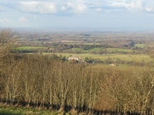Photo A2 View over tree tops of court Plantation Steyning Wiston House i c2011