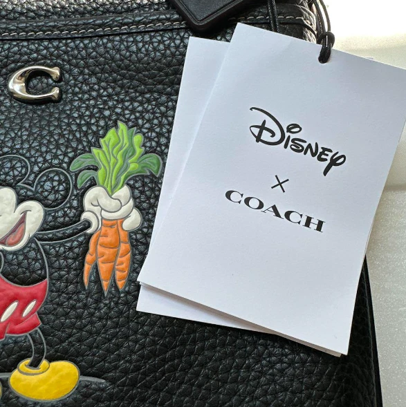 Coach Disney Mickey Mouse Garden Limited Edition Shoulder Bag Authentic - Image 2 of 4