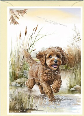 Cavapoo Doodle Cockapoo Hund Grußkarte. Vorderseite der Karte personalisierbar