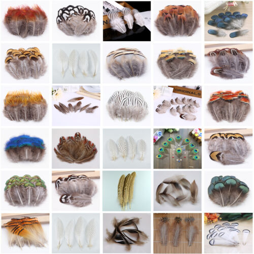 Wholesale 10-100pcs Natural Pheasant Feathers 3-25cm/2-10inches For Decoration