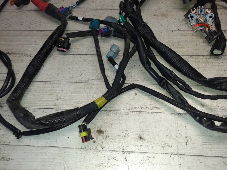 FAISCEAU ELECTRIQUE HARLEY 750 STREET ROD de 2017 à 2020 - réf : 115 - Photo 4/4
