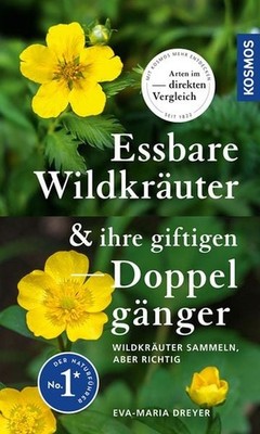 Essbare Wildkräuter und ihre giftigen Doppelgänger Wildkräuter sammeln - aber...
