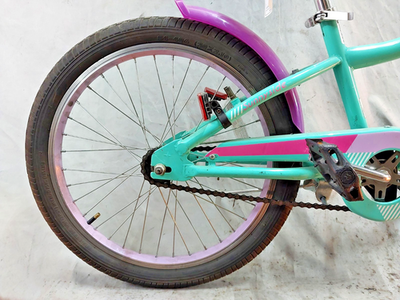 24' Schwinn Sunnyside 20" Kids Bike Single Speed Rigid Coaster Premium  Signature | eBay