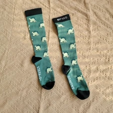 Figs Dinosaur Socks Size L Fun Novelty Cozy Style for Men Women