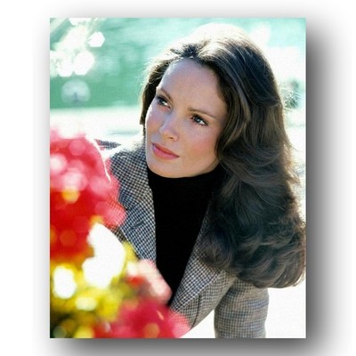 Jaclyn Smith Photo 8x10 Charlie's Angels 1978 TV Show Publicity Still-1
