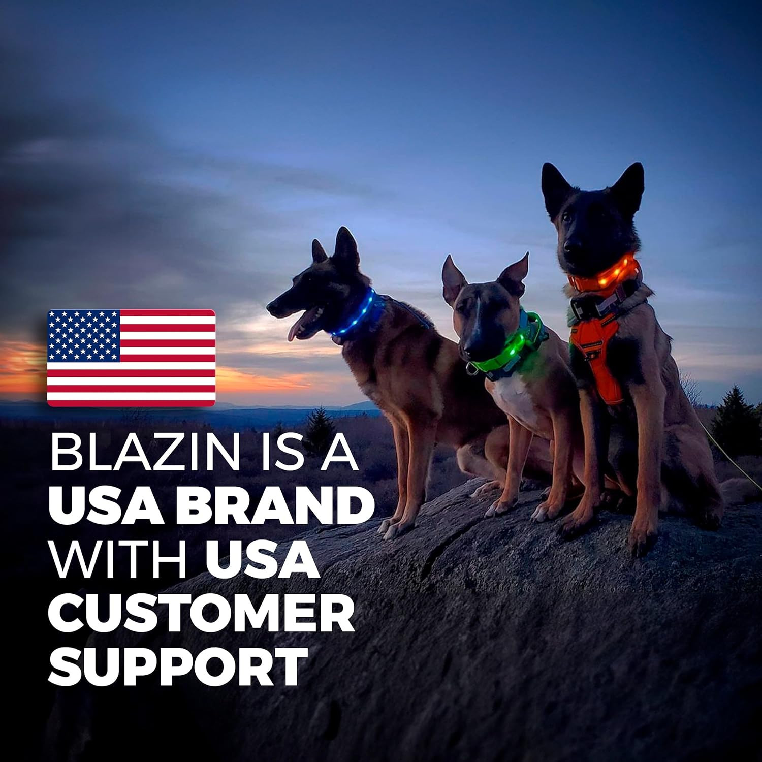 Brightest Light up Dog Collars - the Original LED Dog Collar with 1,000 Feet of 