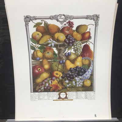 fruit bowl print 18x22  Never Framed Decor