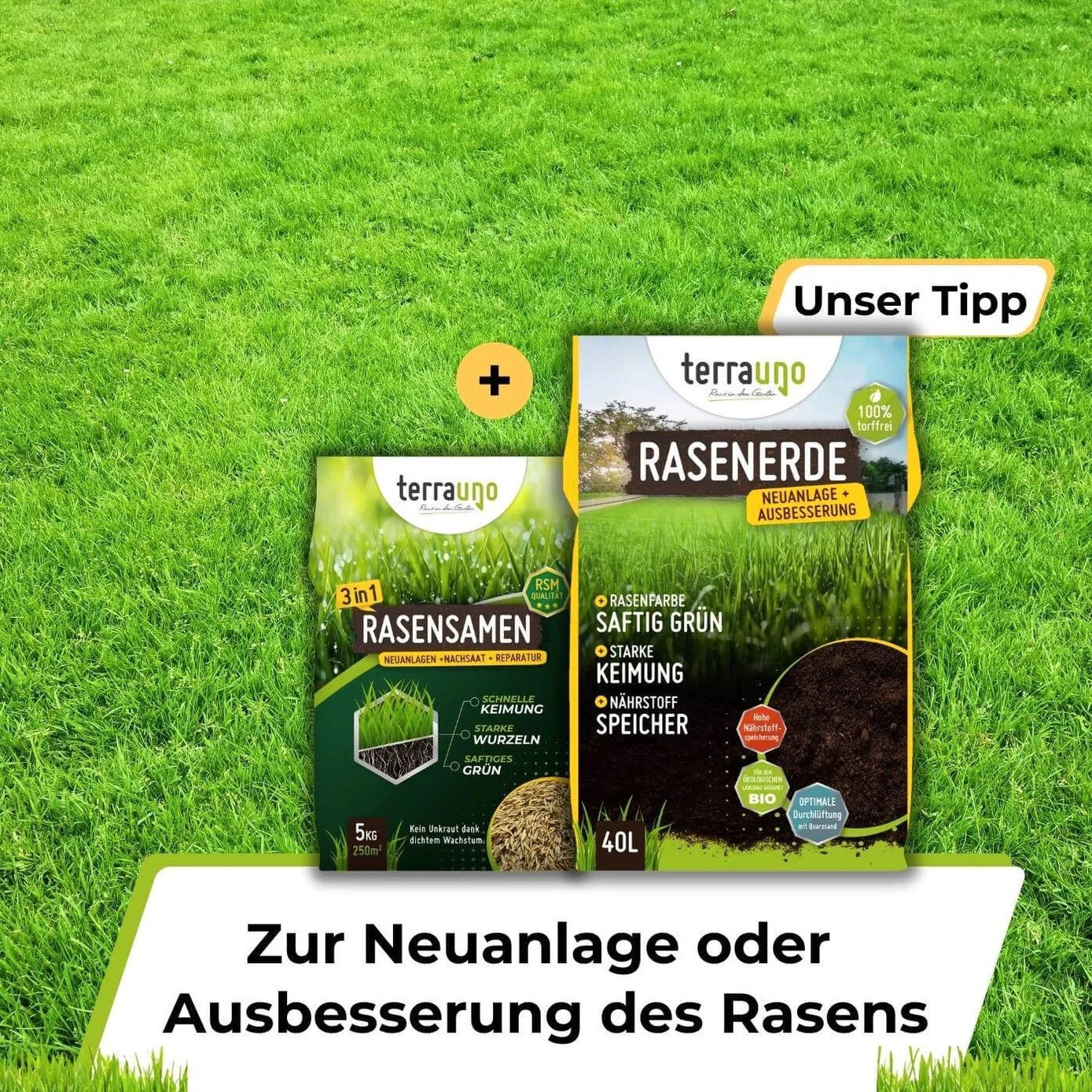 Bild 6 von 9