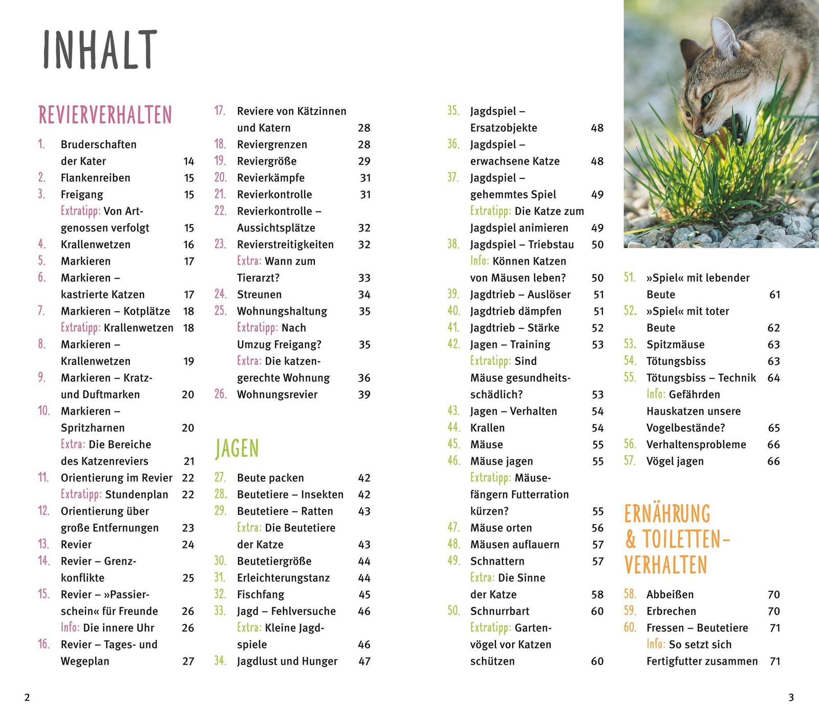 Thumbnail - 300 Fragen Zum Katzenverhalten | Experten-tipps Aus Der Praxis | Helga