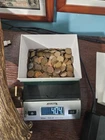 Lot Of 285 Wheat Pennies