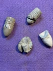 Civil War Bullets Dug Digger Kissed Lot - Richmond, Va