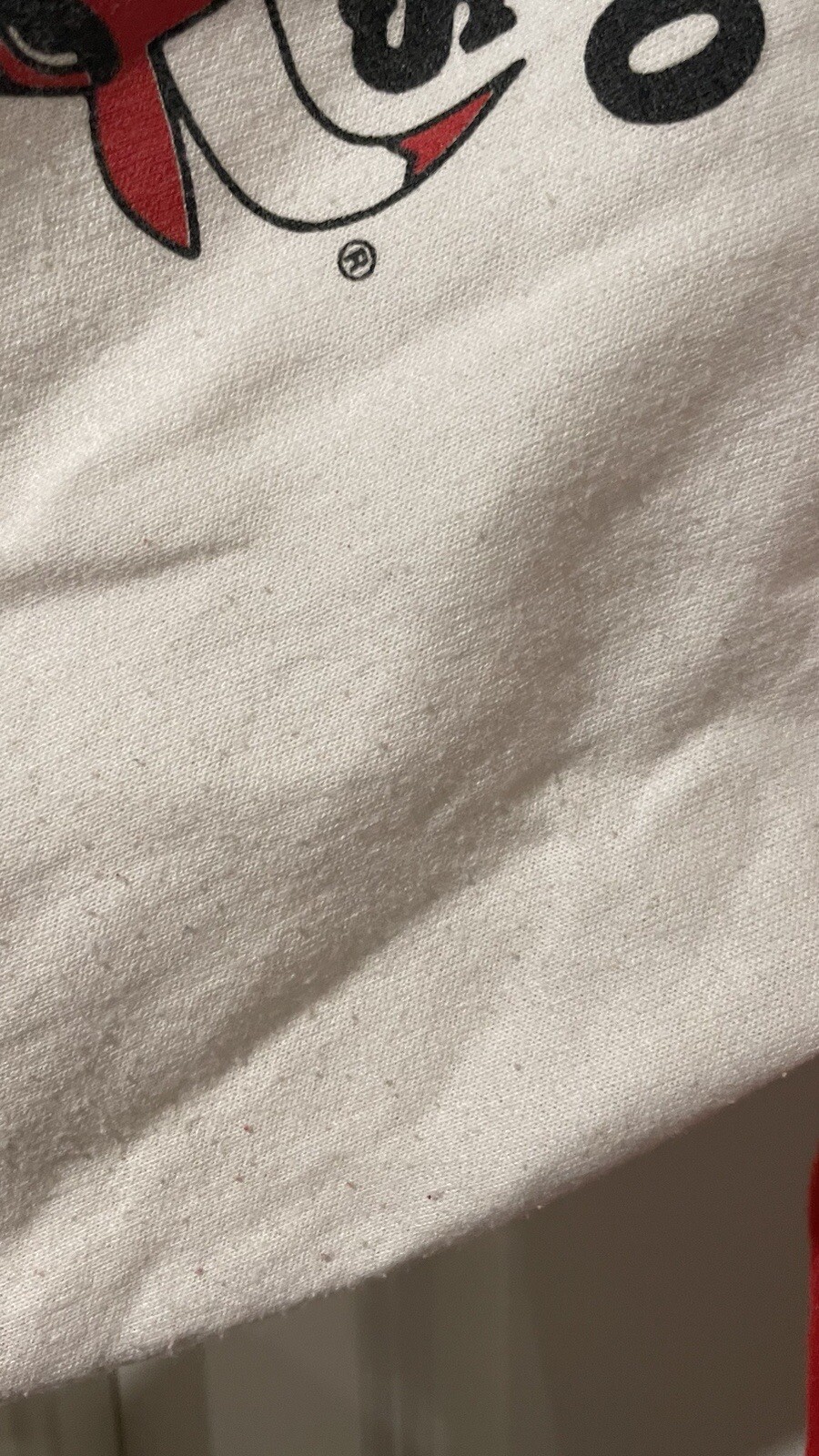 Picture 8 of 19