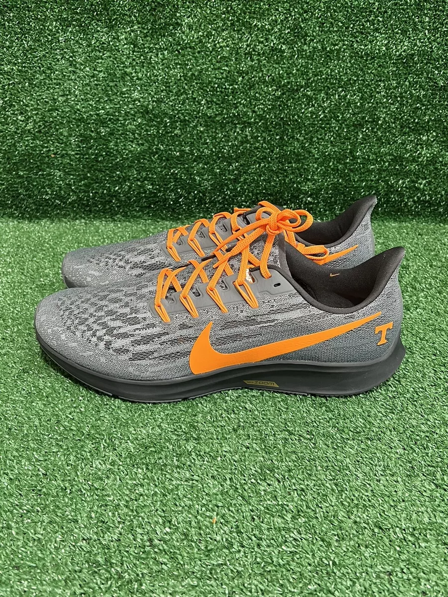 Nike pegasus online 36 talla 44