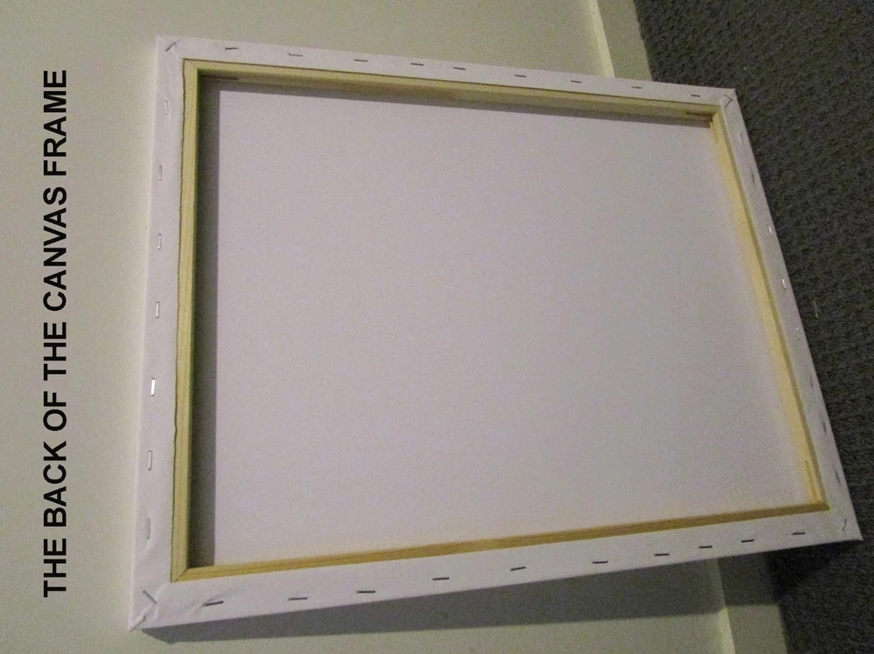 Framed Canvas Street graffiti Zebra rainbow stripes ready to hang - Image 4 of 4