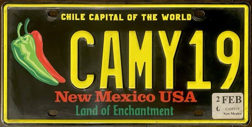 2020 ‘s LICENSE PLATE NEW MEXICO EXPIRED Free Shipping