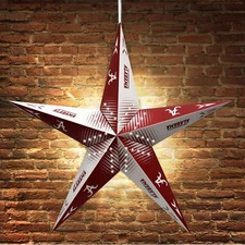 Official NCAA College Team Star Lanterns Lamps NIB Light Lamp UNC Clemson State