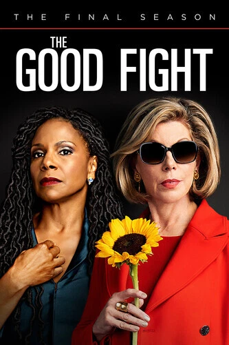The good fight online season 4 online