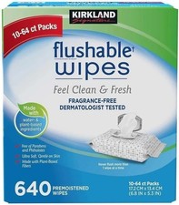 Kirkland Flushable Wipes Fragrance Free Plant Based 10 Pk or 64 Premoistened