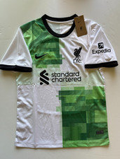 Liverpool 2023/24 Darwin Nunez #9 Away Soccer Jersey Premier League (Medium)