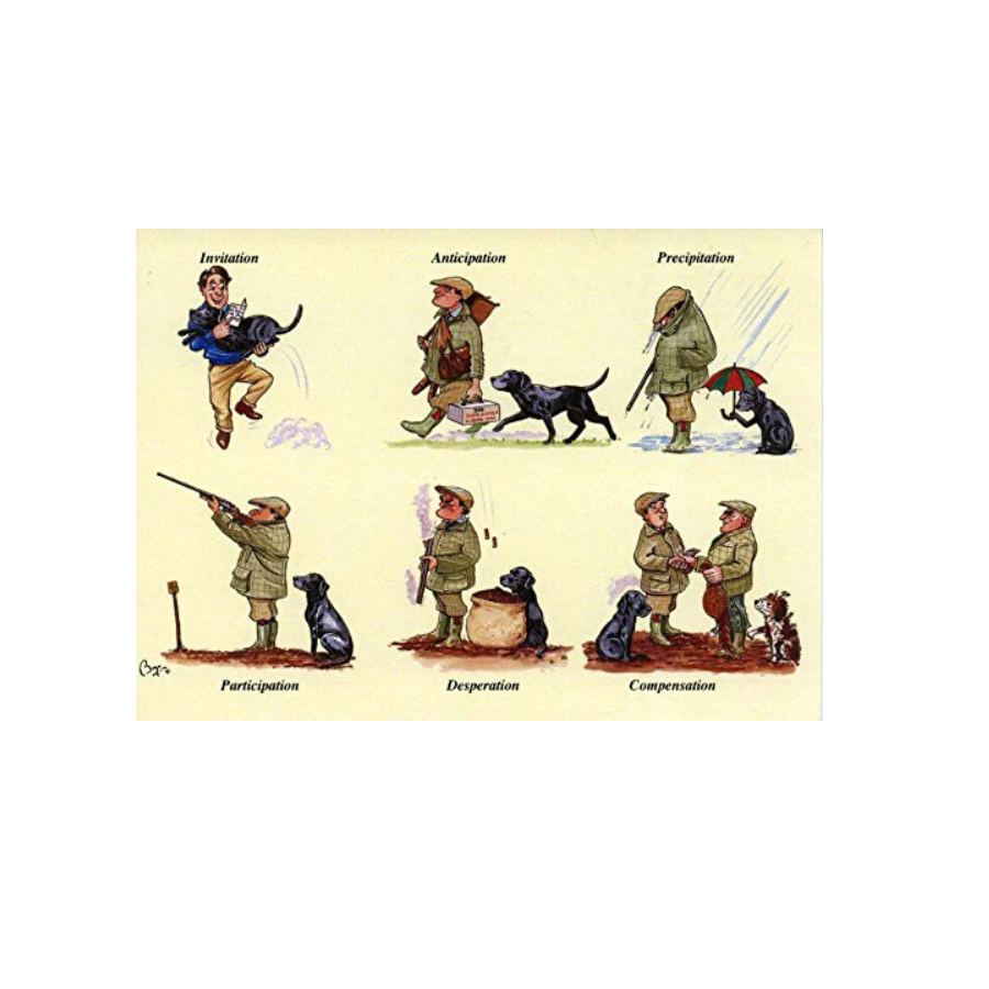 Bryn Parry Game Day Pheasant Shooting Pack 10 note cards - invitation thank you
