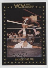 1991 Championship Marketing WCW Ric Flair #95 0a2