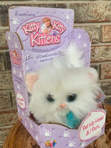 kitty kitten
