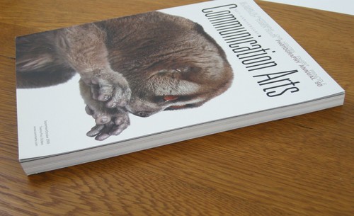 CA Communication Arts Magazines 2 PHOTOGRAPHY ANNUALS 2005, 2009 Very Good CLEAN - Imagen 8 de 9