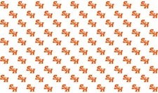 Sam Houston State University Logo Fabric by the Yard
