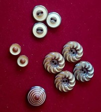 10 Vintage Vegetable Ivory 3-D Carved Buttons