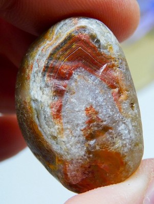 Beautiful Natural Lake Superior Peeler Agate Stone Rare Find
