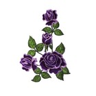 Imagen 22 de 25