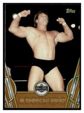 2018 Topps Legends of WWE Bronze #37 