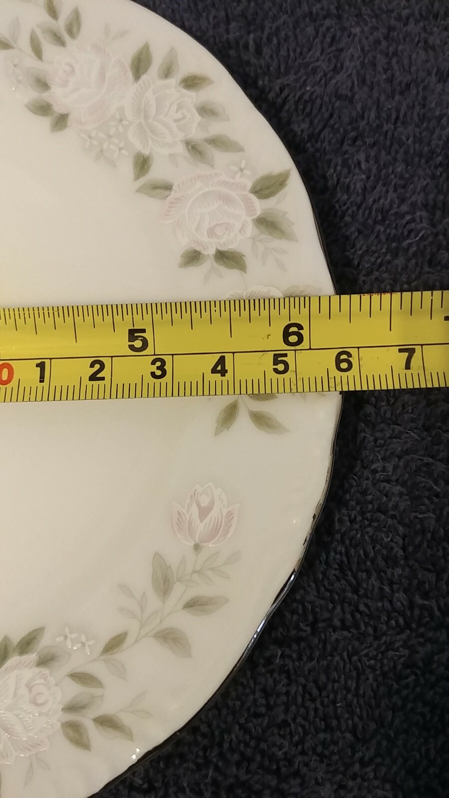 Picture 5 of 6