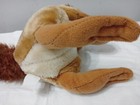 Foto 3 di 5