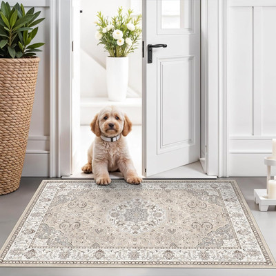 Washable 2x3 Entryway Area Rug Non Slip Vintage Soft Floor Mat Beige