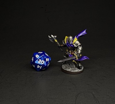 Hand Painted 32mm Human Fighter | Paladin Miniature TTRPG D&D DnD Artisan Guild