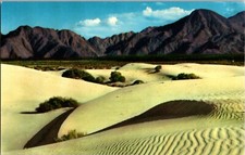 Vintage Southern California Sand Dunes Postcard Hollywood Sahara Desert Chrome