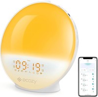 Versatile Sunrise/Sunset Alarm with 22 Sleep Sounds - Perfect for Heavy Sleepers