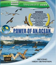 Equator 1: Power Of An Ocean [Blu-ray] NEW!