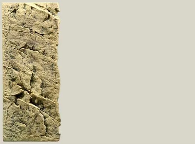 Slim Line Rückwand 60C Sand L: 20 x H: 55 cm - Bild 1 von 2
