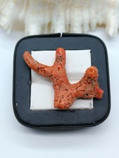 Rama de coral rosa salmón - Piedra preciosa italiana natural (35x48 mm, 27 quilates