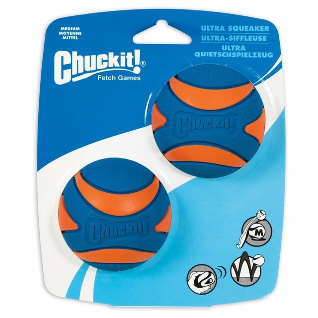 chuckit squeaker ball